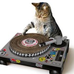 DJ Scratch Deck