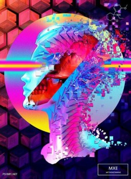 Day-14--MXE_re